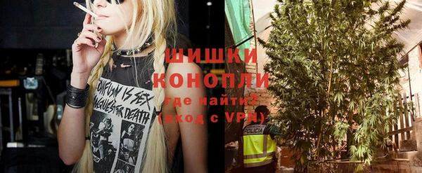 ПСИЛОЦИБИНОВЫЕ ГРИБЫ Карпинск