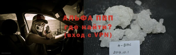 ПСИЛОЦИБИНОВЫЕ ГРИБЫ Карпинск