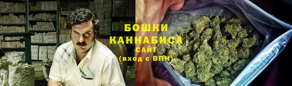 ПСИЛОЦИБИНОВЫЕ ГРИБЫ Карпинск