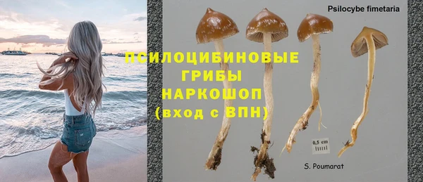 ALPHA PVP Билибино